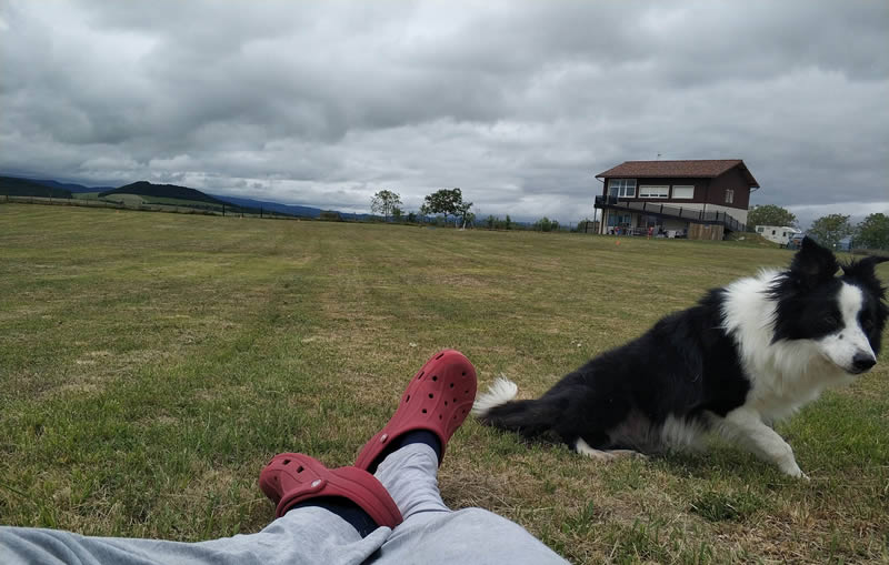 Como empezar a hacer deporte con tu perro